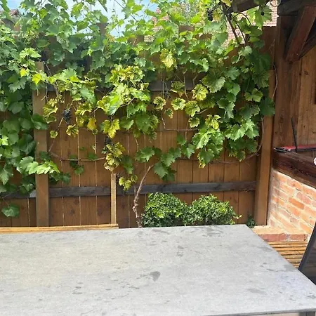 Apartman Family Vacation Near Europa-park & Strasbourg *