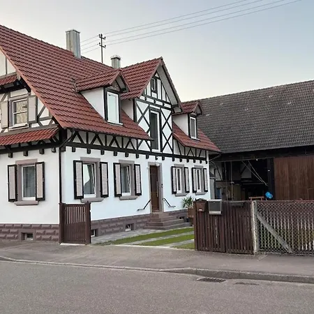 Family Vacation Near Europa-park & Strasbourg * Meissenheim